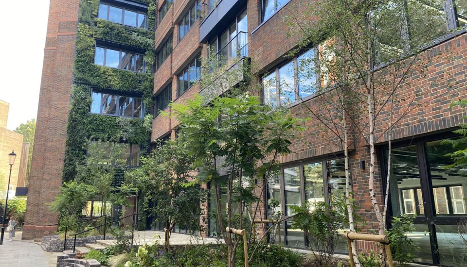 Living Walls at Holbein Place