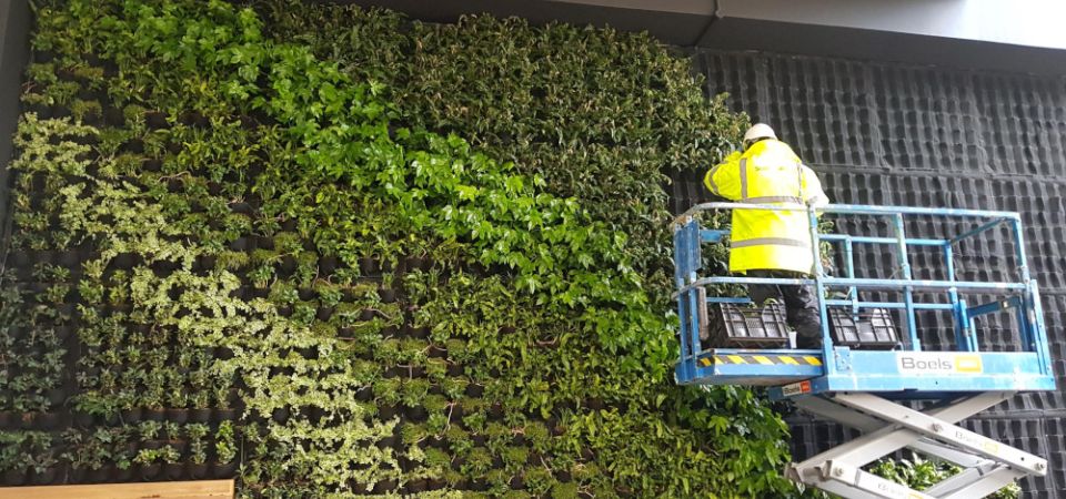 Living wall installation