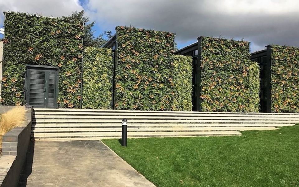 living wall parliament hill school 230m2 installation 2018