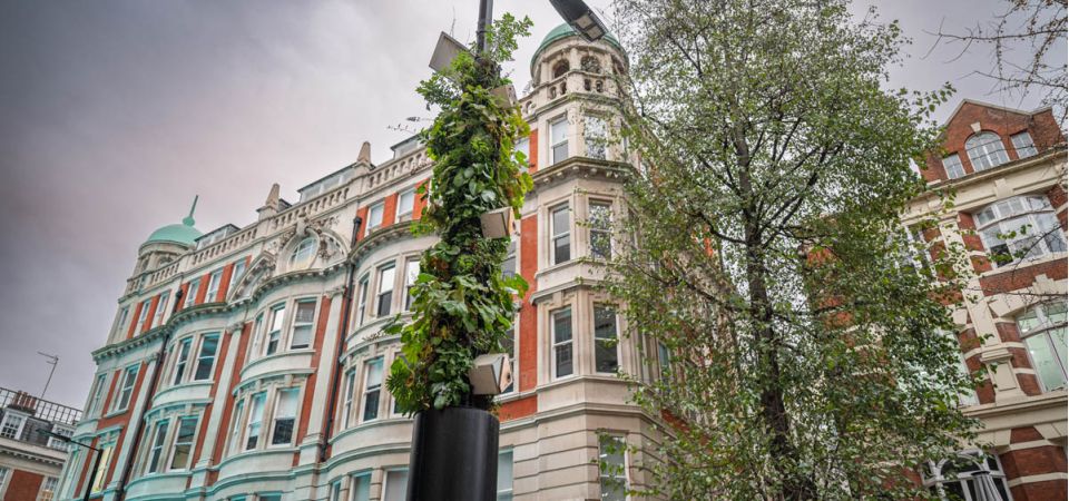 Green pillar lamp post