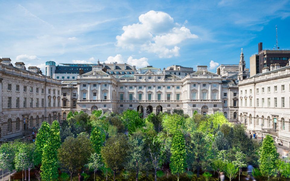 micro forest somerset house