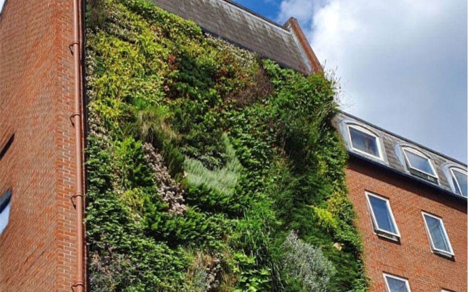 London Bridge Living Wall