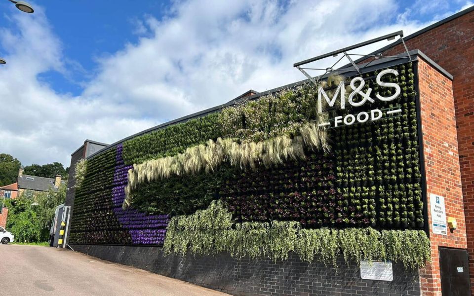 M&S Sheffield Living Wall