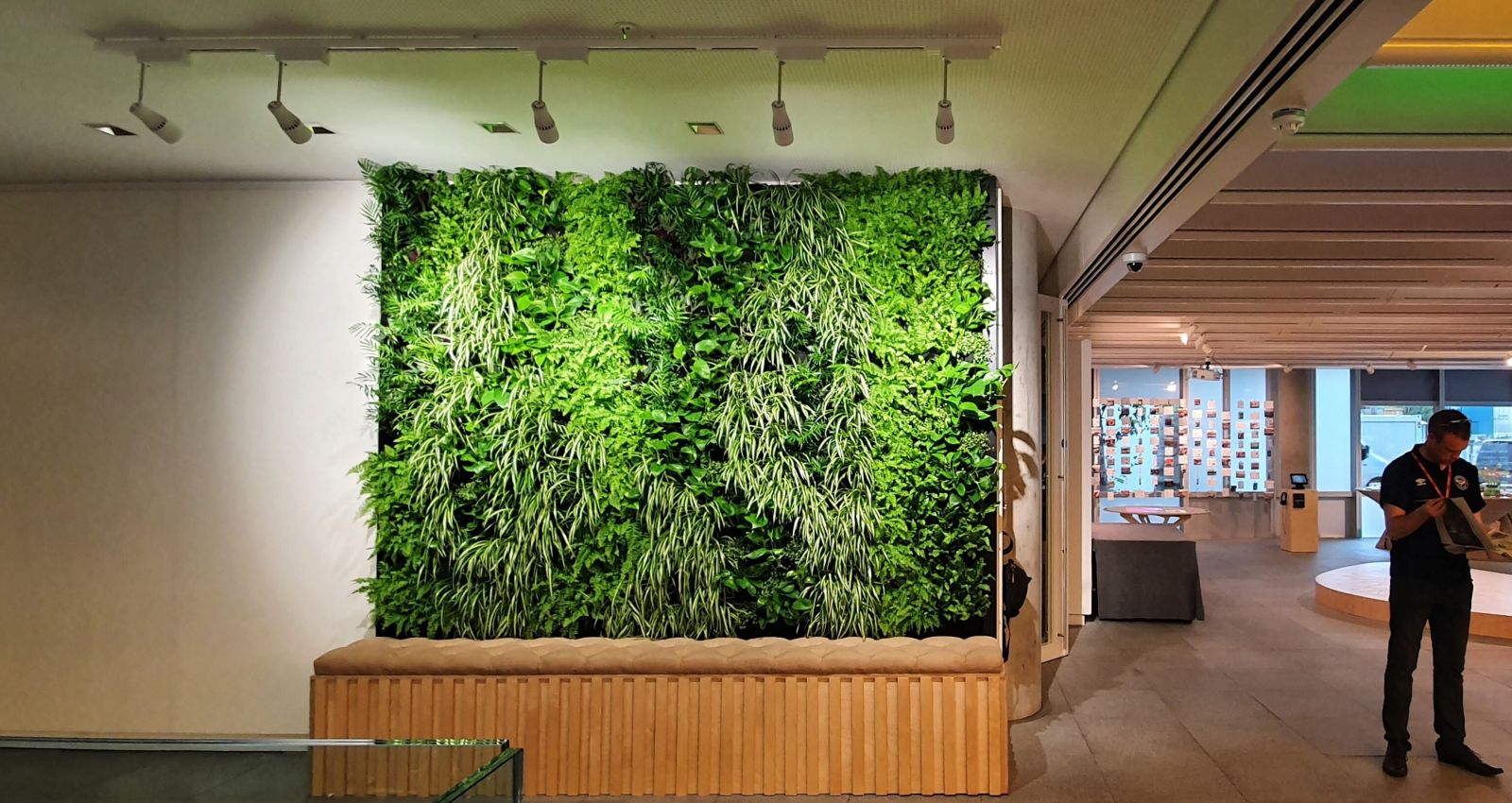 Picture of Living Walls and Plants for Healthy Offices